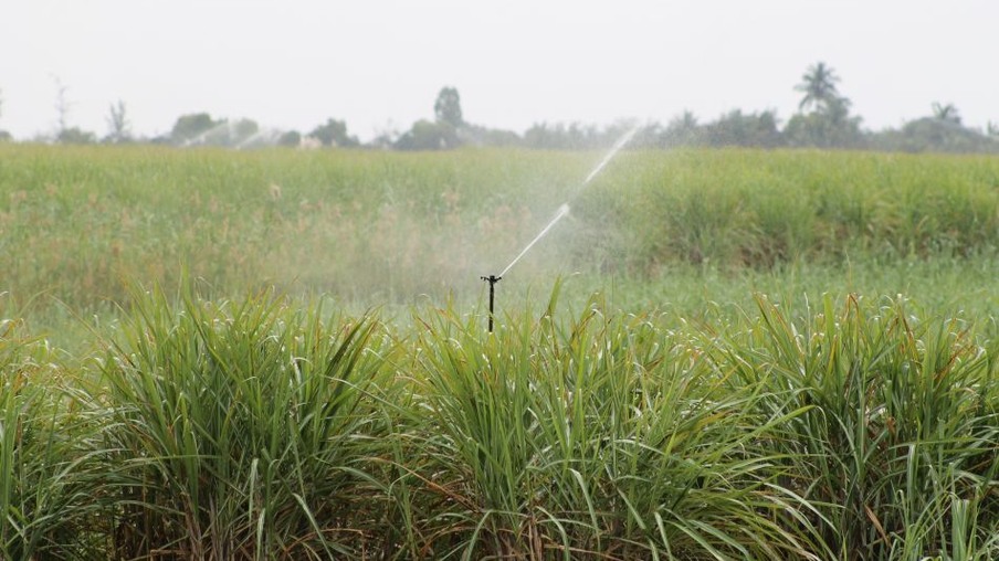O uso da irrigação ganha novas regras na África do Sul