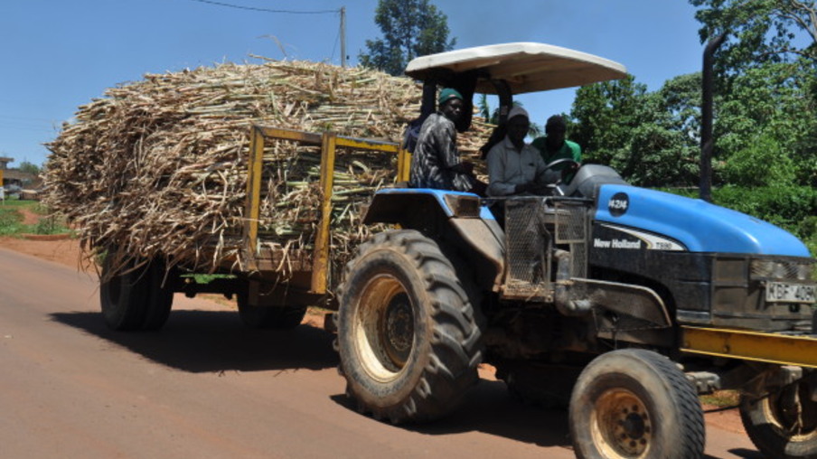 Para contornar crise, Quênia importa 10 mil toneladas de açúcar da Uganda