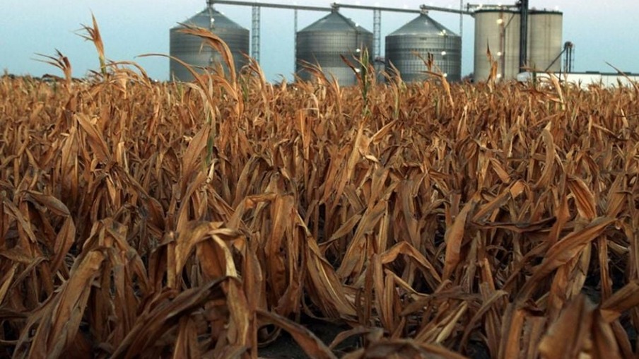 Brasil aumentou em 71% importações de etanol americano