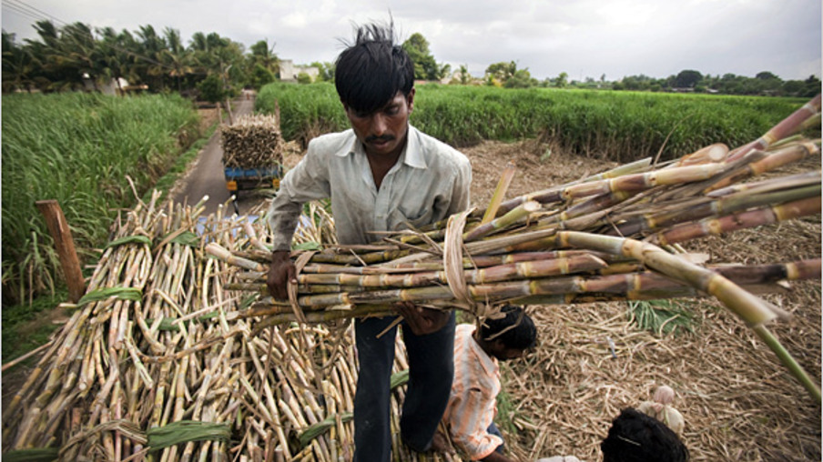 Açúcar na Índia não terá incentivos à exportação
