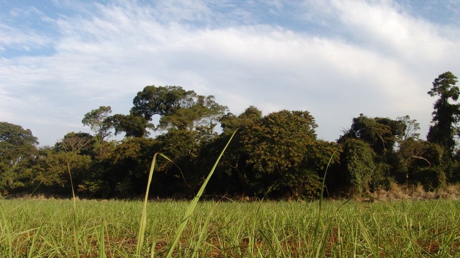 Governo quer acelerar adesão de produtores ao Cadastro Ambiental Rural