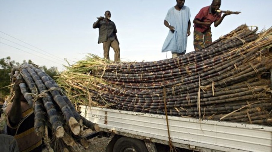 Nigéria pretende produzir 5 milhões de toneladas de cana a partir de 2015/16