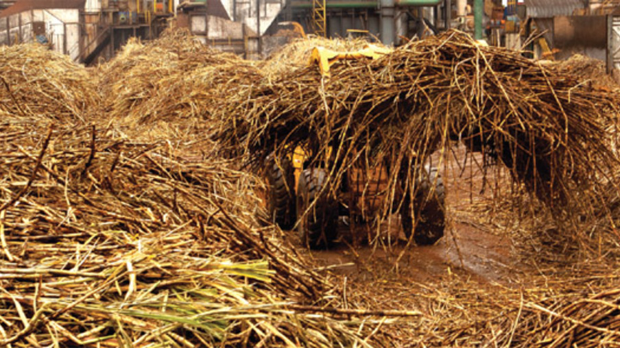 Preço para venda de eletricidade da biomassa no spot fica em R$ 30,25