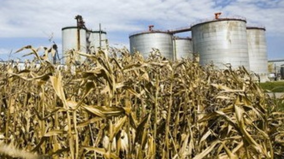 Saiba quanto de milho os EUA usam para fazer etanol