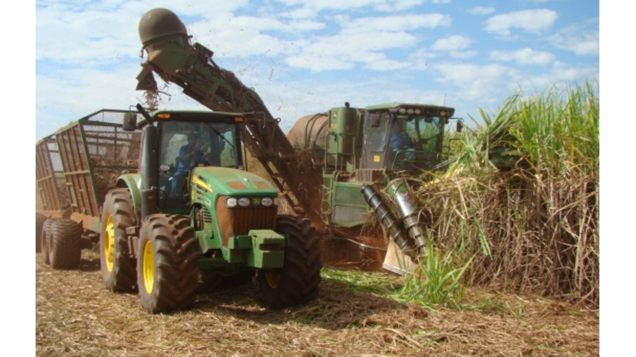 Clima seco acelera moagem da cana e amplia produção de açúcar, diz INTL FCStone