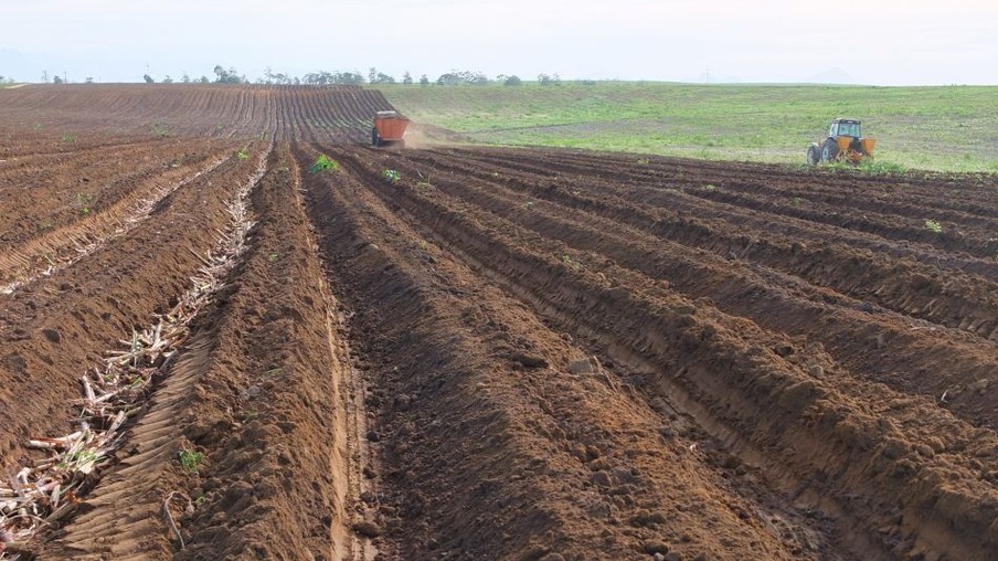 Preparo de terra canavieira em Itapemirim: aproveitamento das chuvas