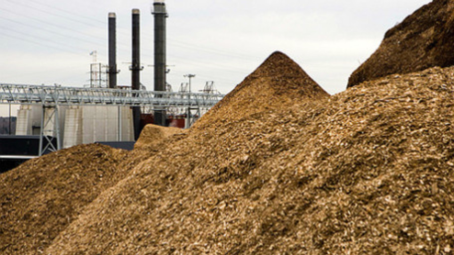 Geração das usinas a biomassa cresce 6% no 1º semestre de 2016