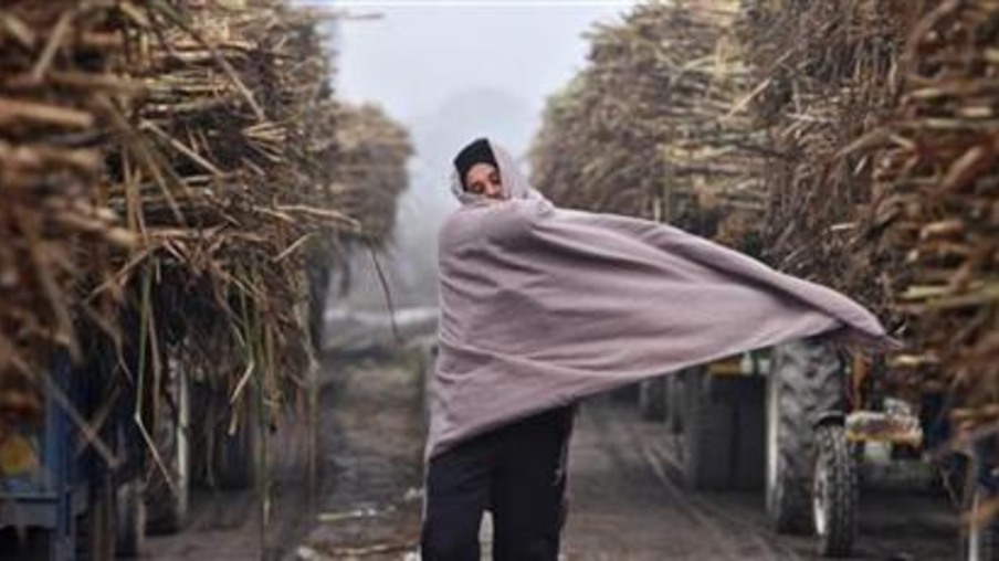 A farmer covers himself with a shawl on a cold winter day outside a sugar mill at Morinda, in Punjab January 18, 2012. REUTERS/Ajay Verma