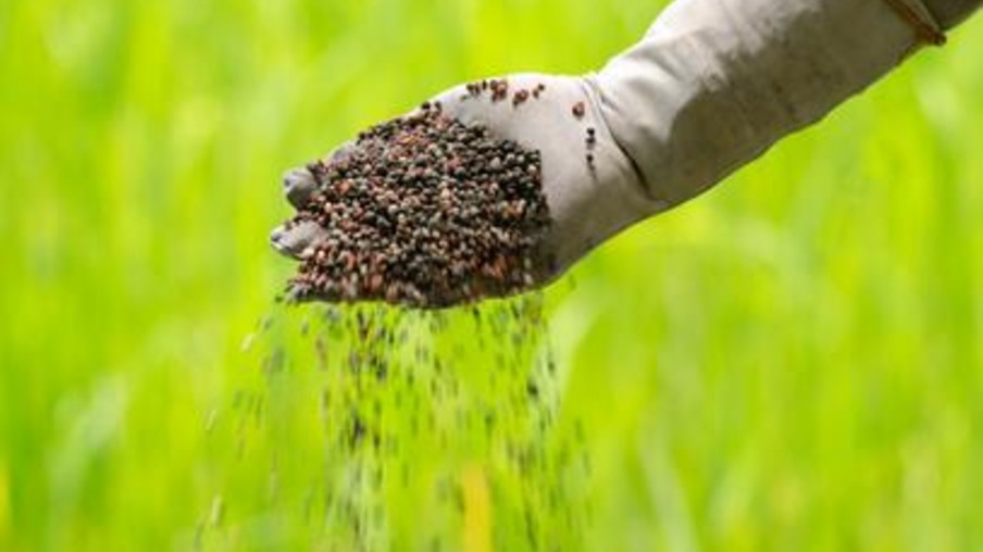 Vendas domésticas de fertilizantes batem recorde
