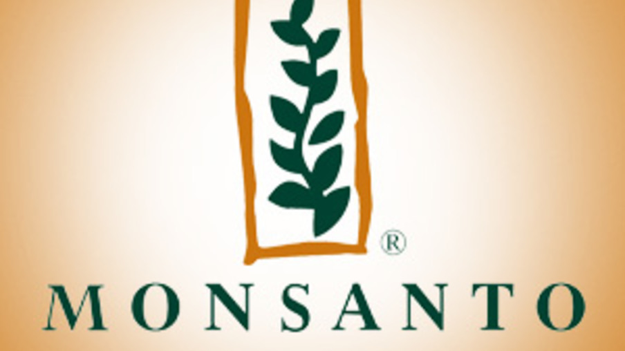 Monsanto deixa negócio de cana no Brasil