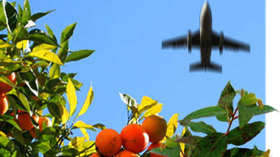 Empresa de bioquerosene de etanol para aviação cria conselho