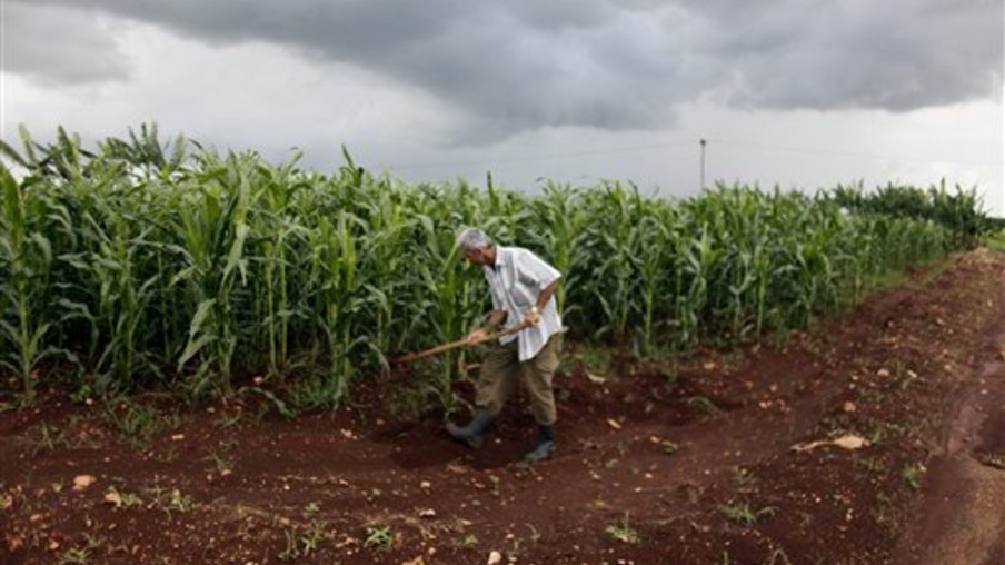 Un campesino atiende una plantación de caña de azúcar en Jovellanos, Cuba. La producción azucarera cubana está subiendo luego de un período de ajuste a las condiciones del mercado internacional tras la caída del bloque soviético. (AP Photo/Javier Galeano, File)