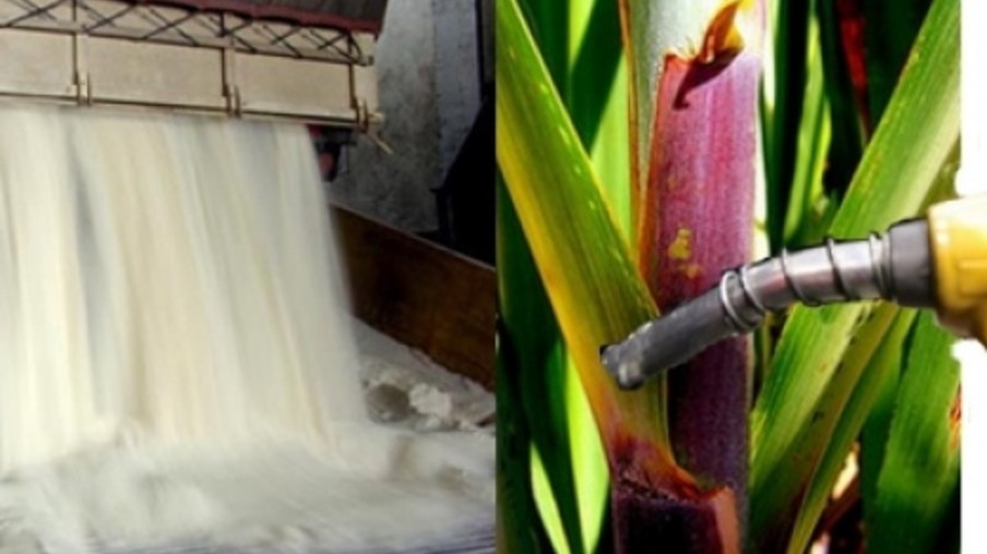 Projeções para o açúcar e o etanol em 2016, segundo a INTL FCStone