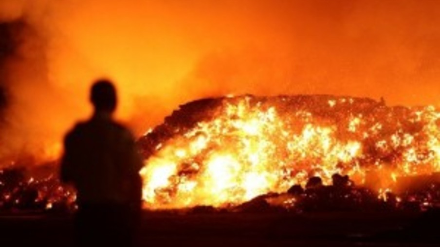 Fogo no canavial: usinas se preparam para evitar prejuízo com incêndios