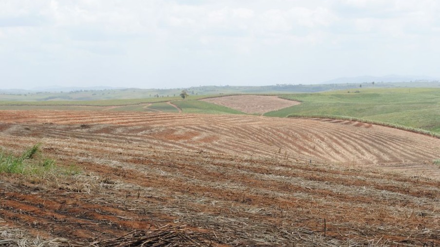 10 explicações sobre o impacto da seca na safra de cana do Norte-Nordeste