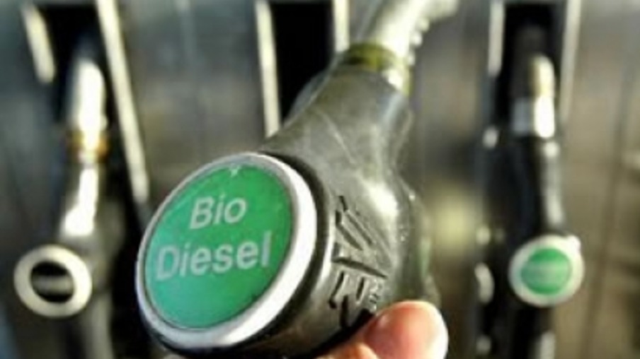 Projeto de biodiesel no Brasil está se reerguendo