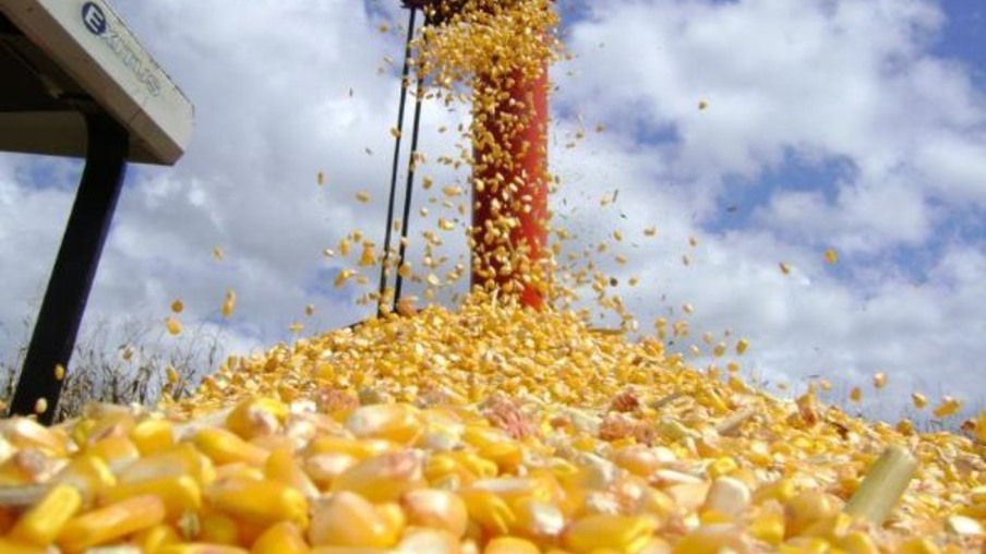 Mato Grosso terá nova usina de etanol de milho. Pedra fundamental da unidade acaba de ser lançada