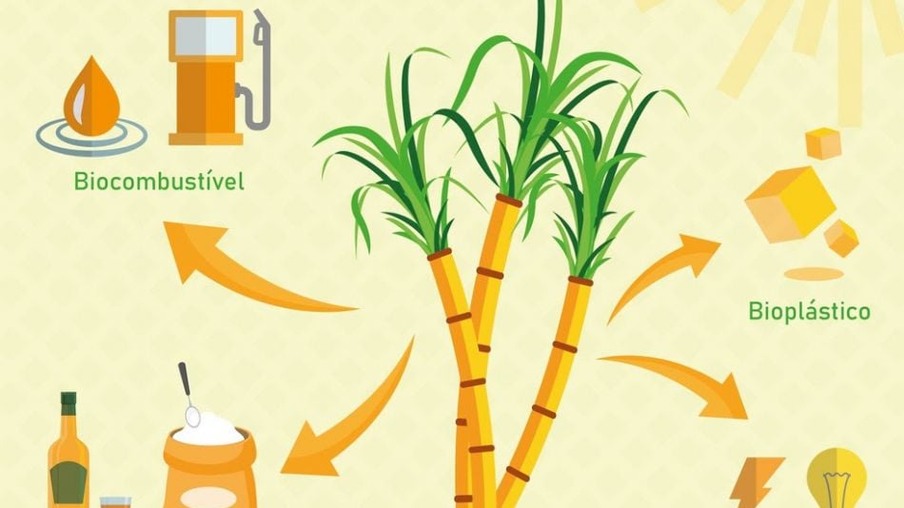 A versatilidade da cana-de açúcar: da produção de alimentos à geração de energia