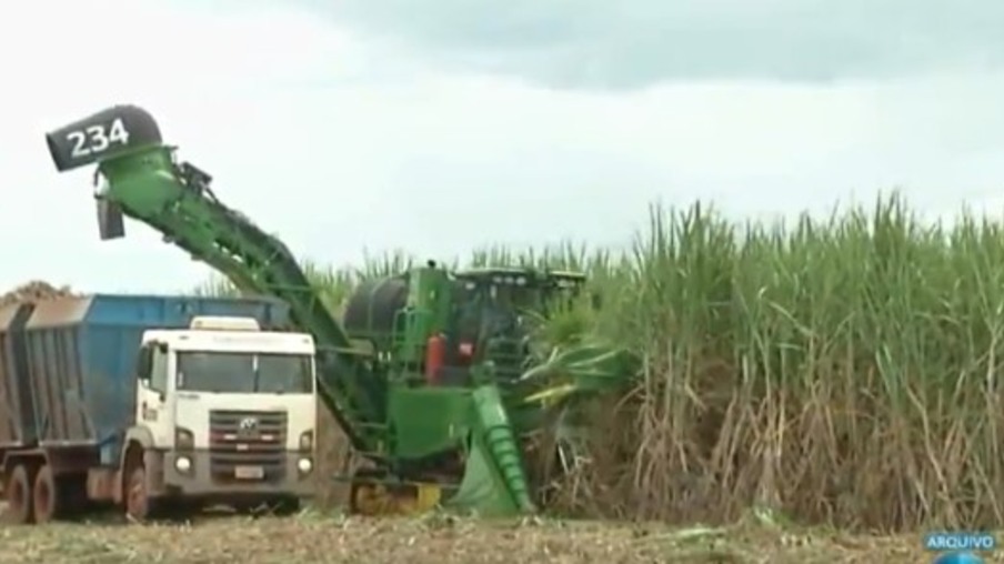 Usinas do Mato Grosso do Sul moem 6,5% mais cana em relação à safra passada