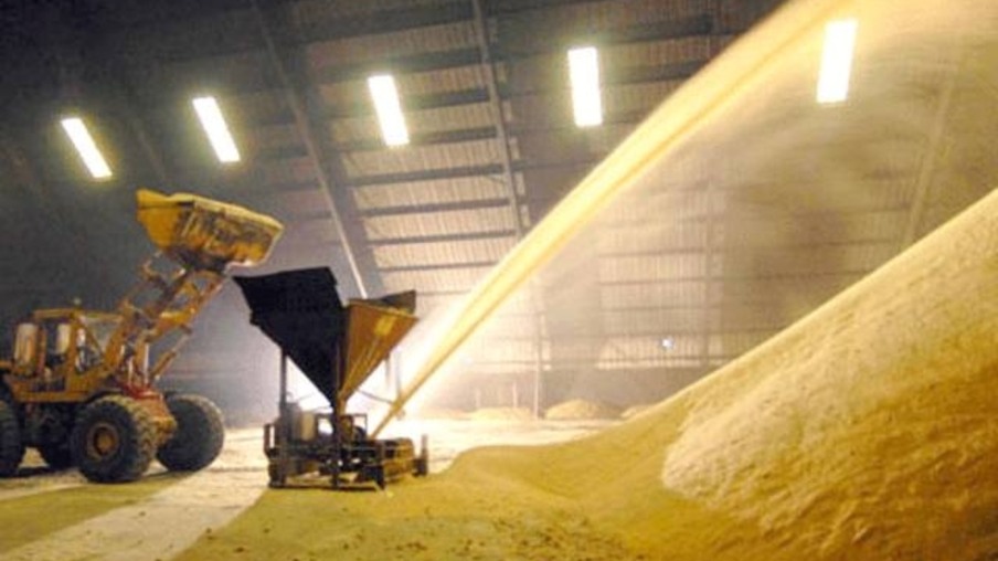 Trading revê números de produção de açúcar e acredita em safra recorde