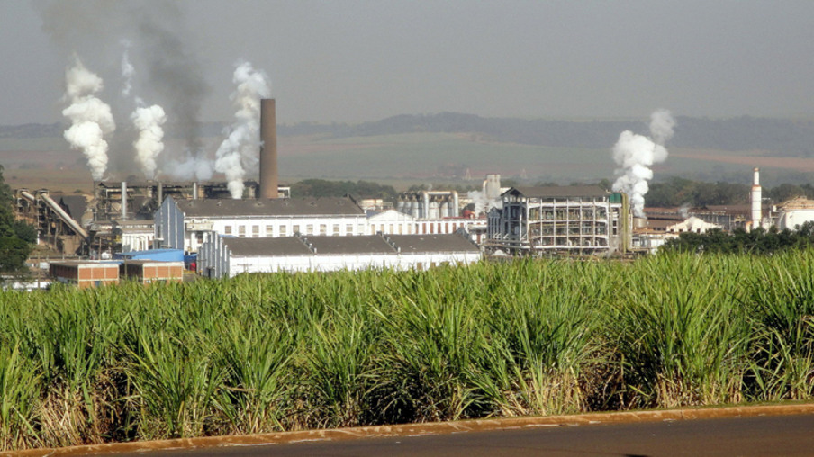 Usina São Martinho, que produz açúcar e etanol, em Pradópolis, São Paulo, Brasil – Foto: Marco Aurelio Esparz via Wikimedia Commons / CC BY-SA 3.0