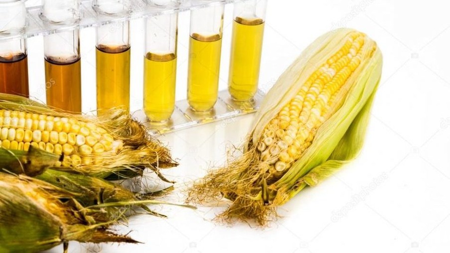 Artigo: Etanol de biomassa de milho