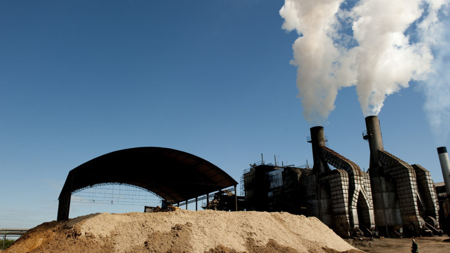 Entidades pedem inclusão da biomassa nos leilões de compra de energia de março próximo
