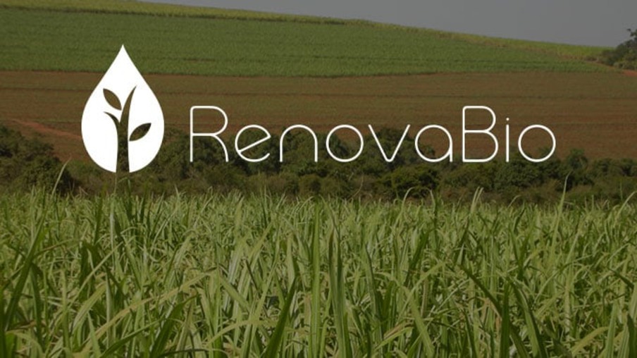 RenovaCalc vai incorporar o óleo de palma na rota de biodiesel