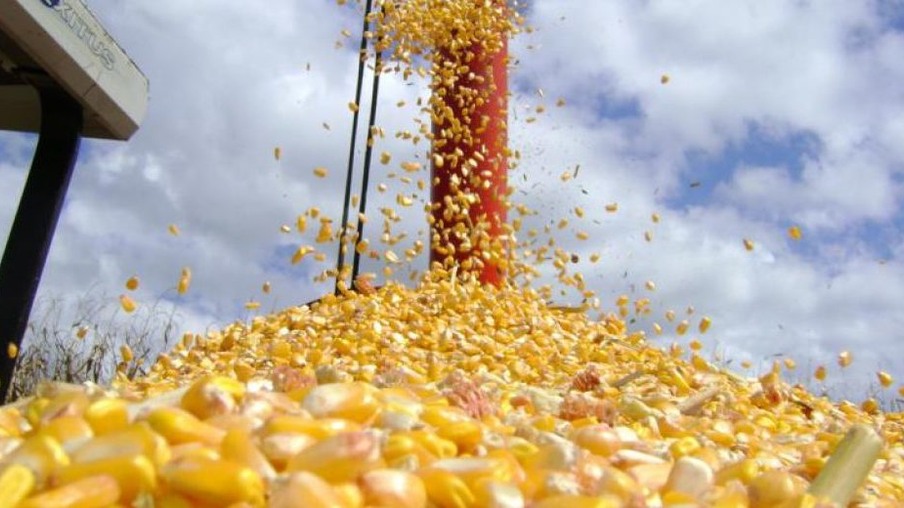 Mato Grosso do Sul cria legislação específica para usinas de etanol de milho