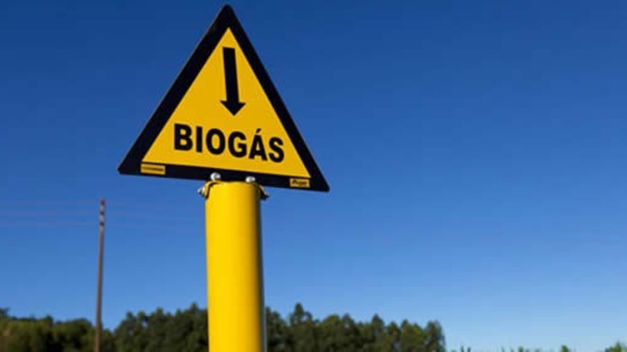 Biogás: fator de redução da pegada de carbono do setor sucroenergético