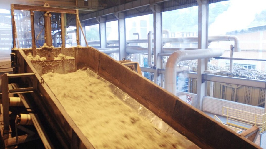 4 cases mostram como produzir açúcar branco e marrom com qualidade superior