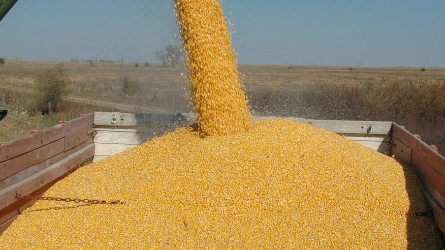 Produção de etanol de milho deverá crescer 15,85% em relação à safra 2020/21