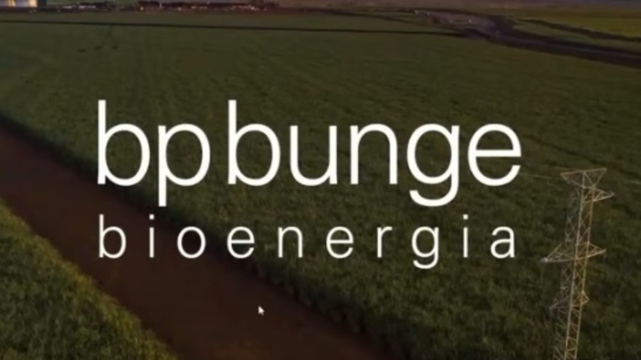 BP Bunge projeta aumento de 60% na venda de biomassa de cana