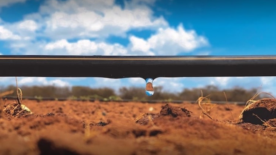 Novas tecnologias de irrigação reduzem a consumo de água na produção de cana