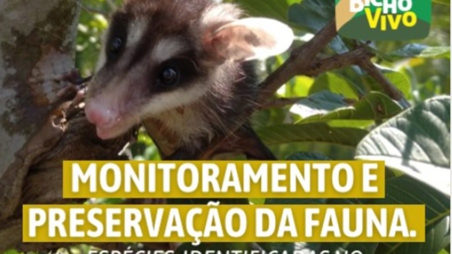 Usina São Manoel promove programa de preservação da fauna