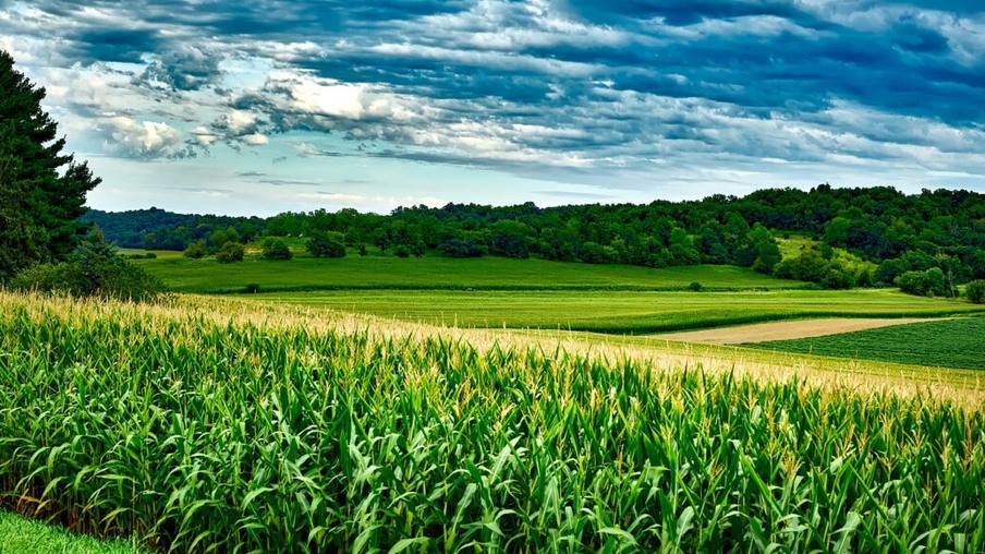 Produção de etanol de milho avançou 38,12% em relação à safra passada