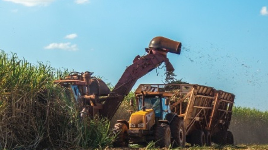 A microbiologia do solo e a influência na produtividade do cultivo de cana-de-açúcar