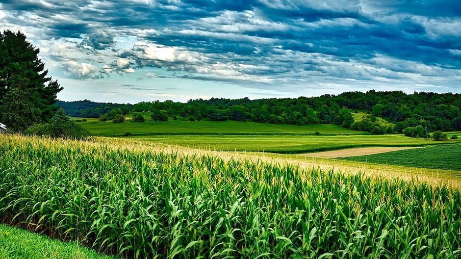 Lideranças defendem expansão de etanol de milho
