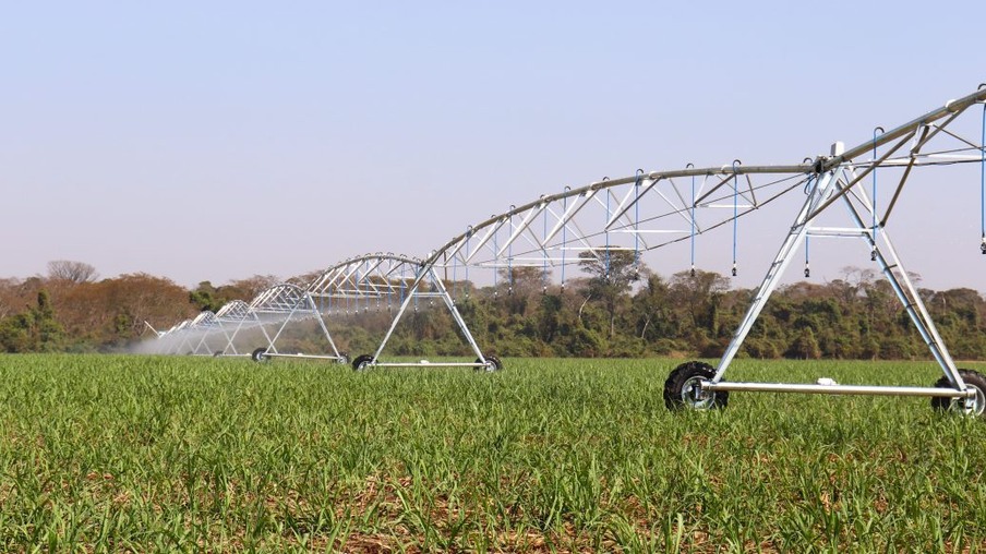 Dia Nacional da Agricultura Irrigada é instituído em 15 de junho