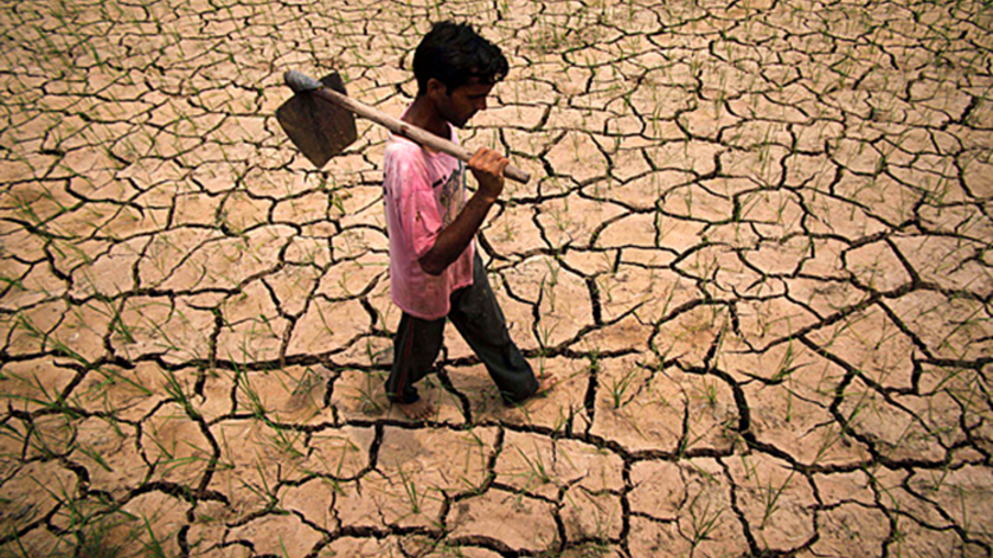 Seca na Índia ameaça agricultura e setor de açúcar