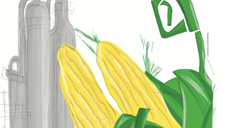 Empresa anuncia construção de planta de etanol de milho no Mato Grosso