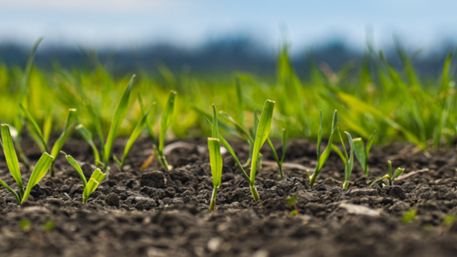 MME apresenta opções para reduzir dependência externa de fertilizantes