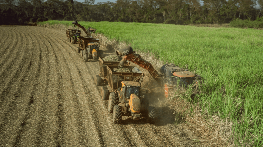 Produção de etanol de milho aumenta oferta durante entressafra da cana na região Centro-Sul