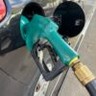 Preços do etanol iniciam safra 2024/25 com fortes altas