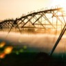 Decreto da Secretaria de Agricultura visa dobrar irrigação nas lavouras paulistas