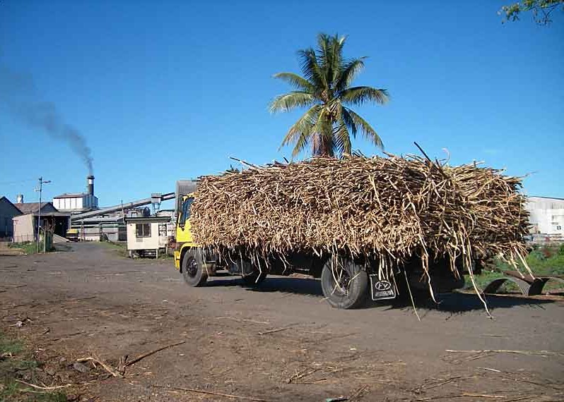 Unidade produtora de açúcar em Fiji aumenta moagem