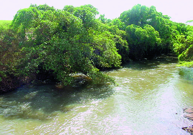 2006-03-09 Meio Ambiente Natureza Sustentabilidade Rio Sao Tomaz Verdao