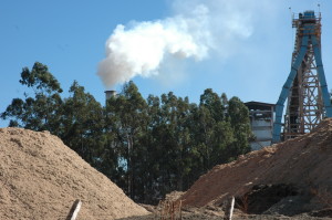 A cogeração da biomassa também usa o PLD como 'moeda'