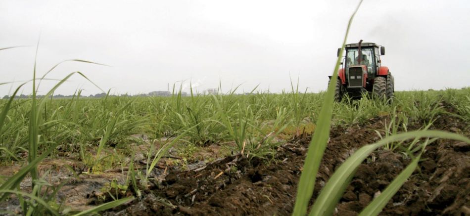 Senado aprova isenção de licenciamento anual para máquinas agrícolas