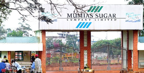 Mumias Sugar Company adia retorno às atividades